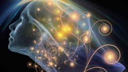biorésonance biofeedback neurofeedback Ferney-Voltaire Pays de Gex Genève
