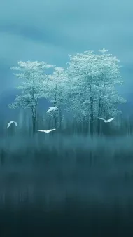 stress post-traumatique traumatisme angoisse anxiété panique dépression Ferney-Voltaire Pays de Gex