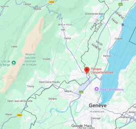 Google Maps - Elsa Prohom - 15, avenue des Alpes - 01210 Ferney Voltaire
